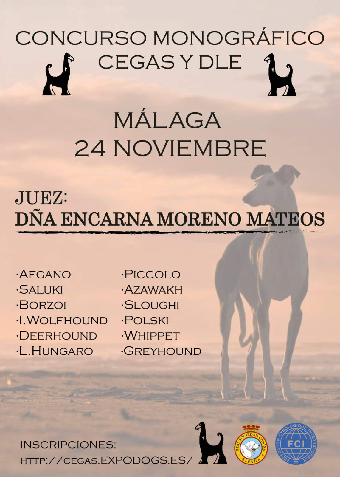 Concurso Monografico