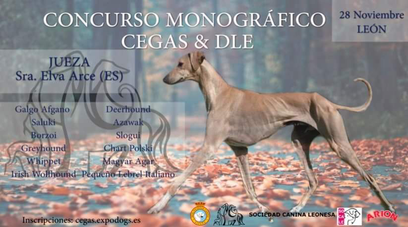 Exposición Monográfica - Especializada de España 2019